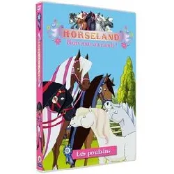 dvd horseland, bienvenue au ranch ! vol. 9 : les poulains