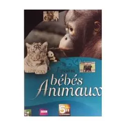 dvd passion bébés animaux