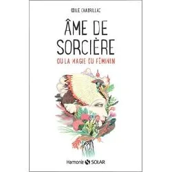 livre ame de sorcière - ou la magie du féminin