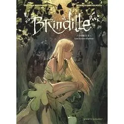 livre brindille tome 1 - les chasseurs d'ombres