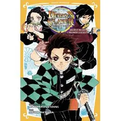 livre demon slayer - roman jeunesse t01 : tanjiro & nezuko l'origine de leur destin