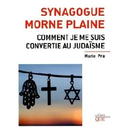 livre synagogue morne plaine