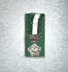 médaille d'honneur régional communal départemental