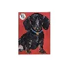 puzzle dog dachshund puzz - dog - dach