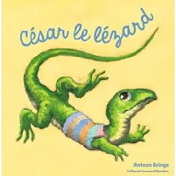 livre droles de petites betes : cesar le lezard