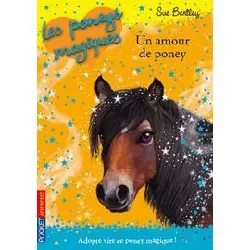 livre les poneys magiques - numéro 6 un amour de poney