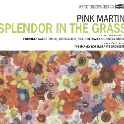 cd pink martini - splendor in the grass (2009)