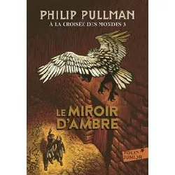 livre le miroir d'ambre