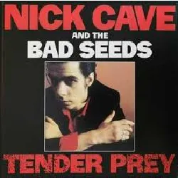 vinyle nick cave & the bad seeds - wild god (2024 - 08 - 30)