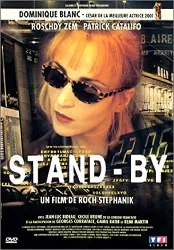 dvd stand by