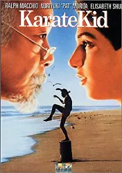 dvd karate kid