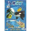 dvd le monde de la mer